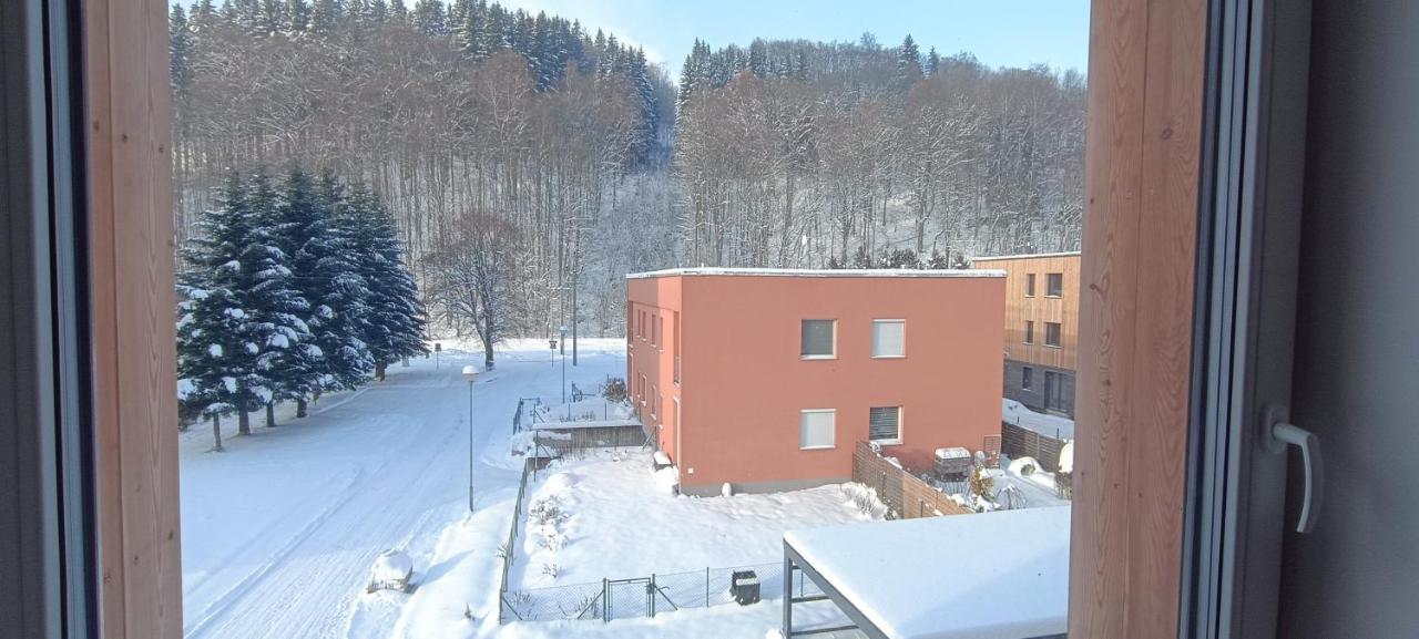 Apartman Nely Svoboda nad Upou Exterior photo